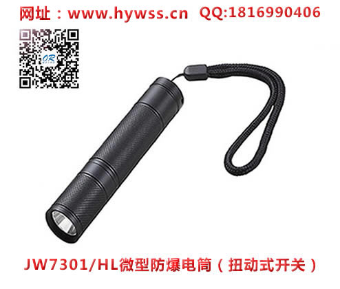 乐清海洋王JW7301/HL微型防爆电筒(扭动开关）